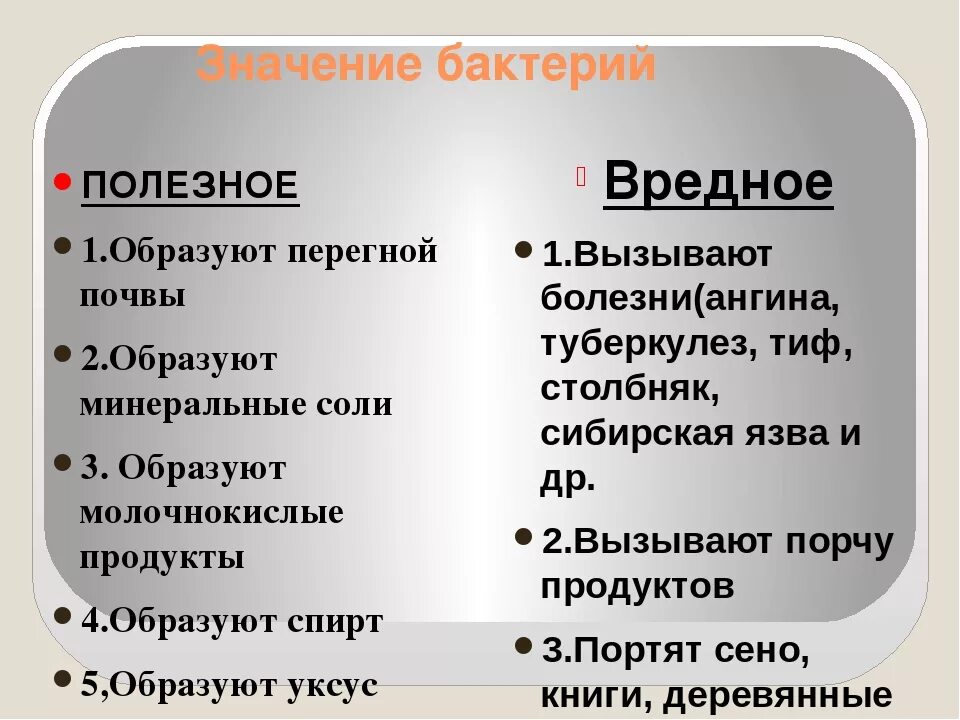 Плюсы бактерий в жизни человека. Польза и вред бактерий. Польза бактерий. Значение бактерий полезные и вредные. Польза бактерий для человека.