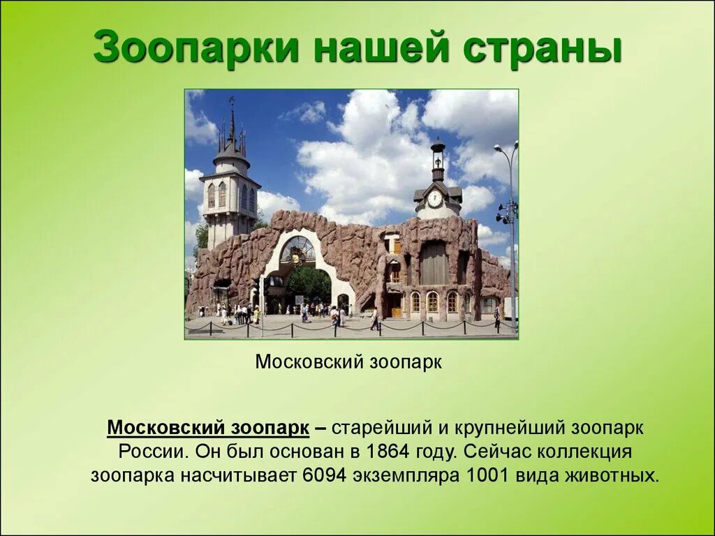 Московский зоопарк доклад. Московский зоопарк доклад 2 класс окружающий мир. Московский зоопарк презентация. Презентация на тему Московский зоопарк. Московский зоопарк факты