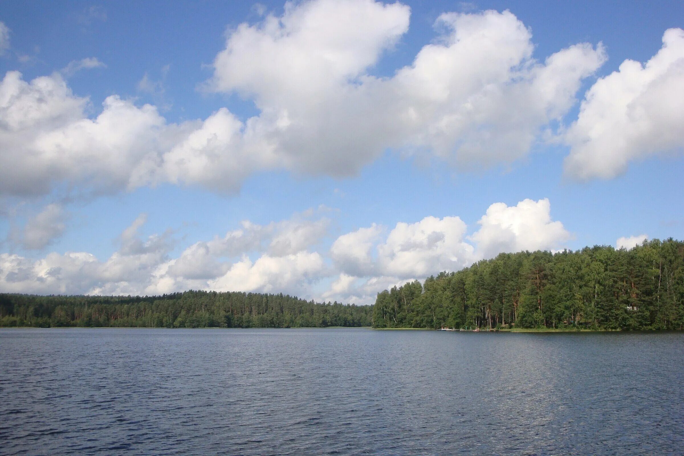 озеро вуокса. озеро зеркальное ленинградская область. озеро малое борково. зеркальное озеро спб. зеркальное озеро ленинградская область рыбалка.