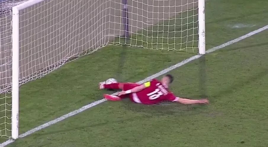 Мяч в воротах. Футболист забивает мяч в ворота. Португалия футбол ворота. Мяч залетает в ворота. Роналдо забивает гол головой