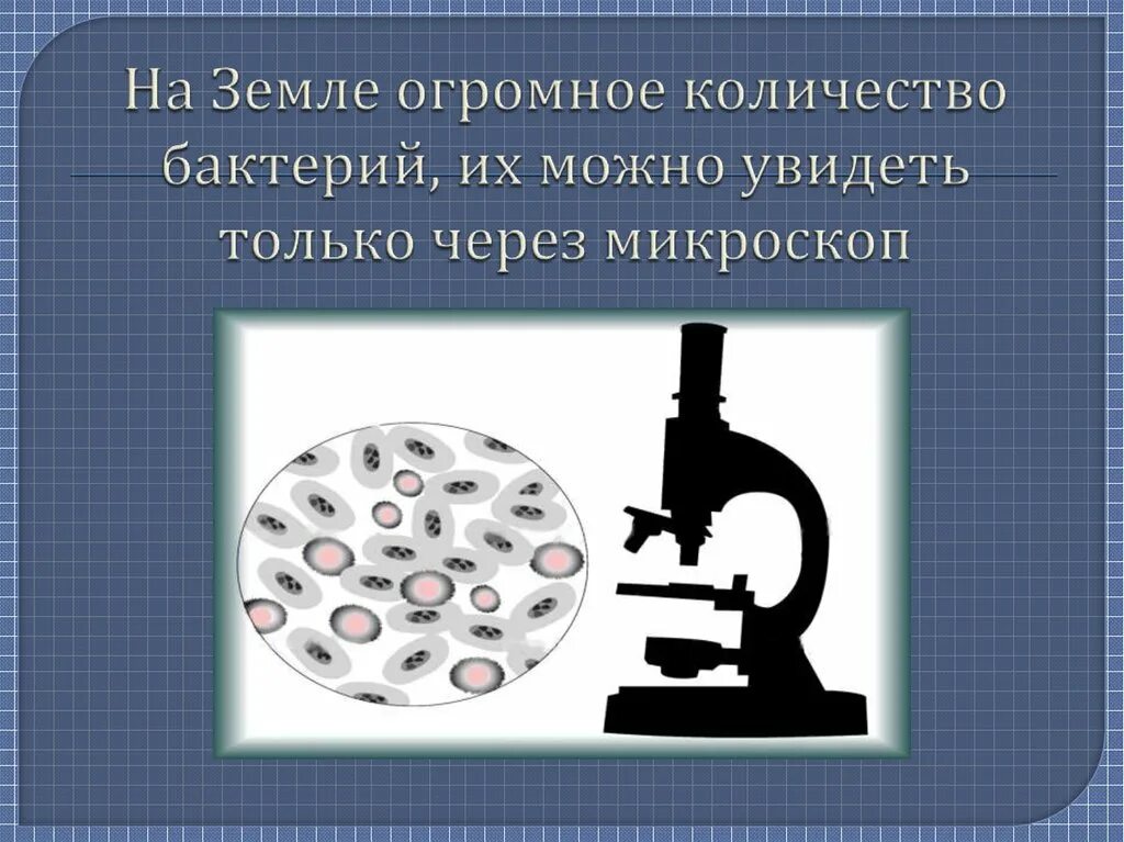 Под каким микроскопом можно увидеть бактерии Как пользоваться микроскопом, чтобы увидеть как можно больше