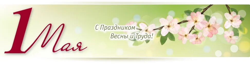 Ооо 1 мая. Баннер с праздником весны и труда. Банерпраздник весны и труда. Майские праздники баннер. С праздником весны и труда надпись.