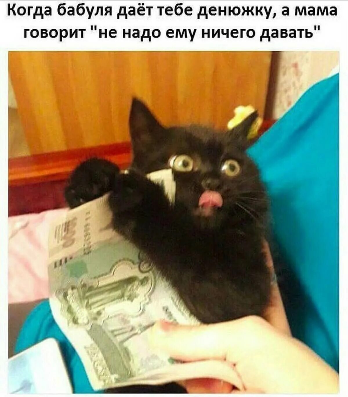 Ничего давать тебе не буду