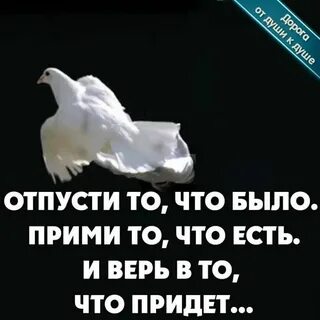 Принять и отпустить