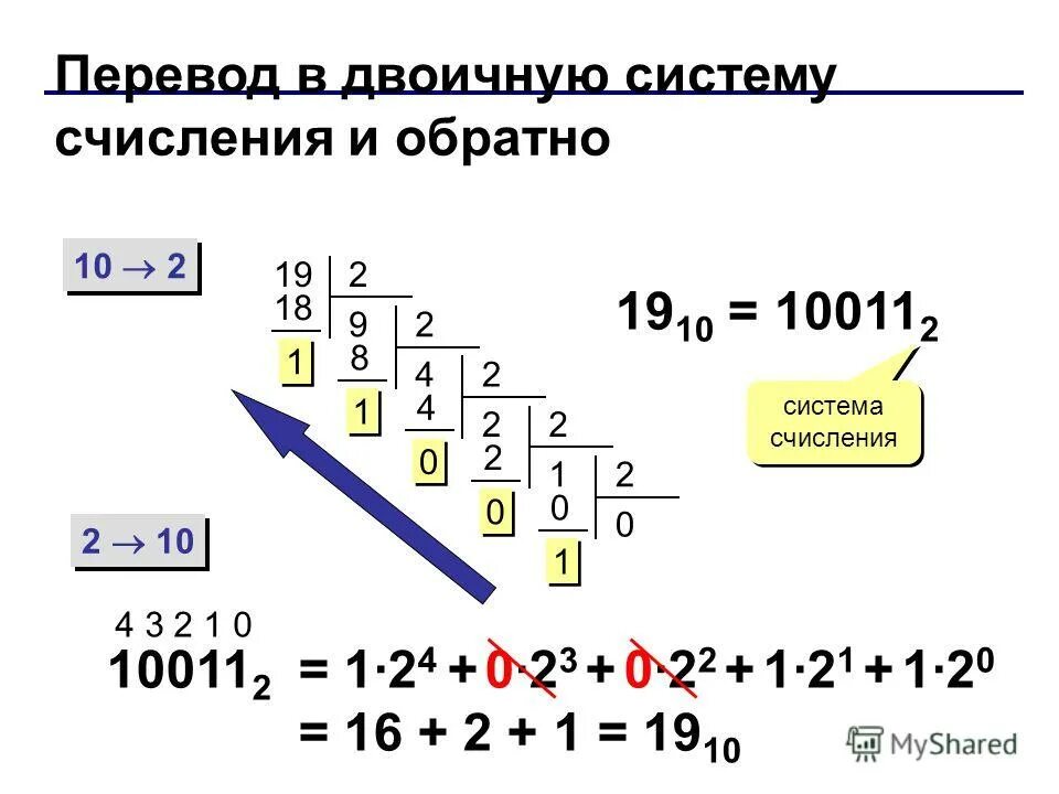 Python из любой в десятичную. Система счисления двоичная система. Перевести в двоичную систему счисления и обратно. Как перевести 10 число в двоичную систему. Как перевести число в двоичную систему счисления.