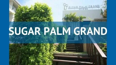 Sugar palm 4