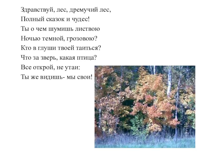 Лес полный сказок и чудес. Здравствуй лес. Здравствуй лес дремучий лес полный сказок и чудес. Здравствуй лес дремучий лес полный сказок и чудес. Дремучий лес это олицетворение.