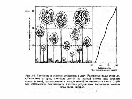 Типы лита