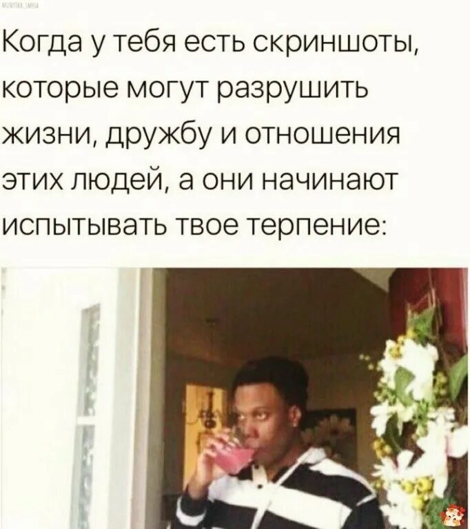 Читать разрушу твою жизнь