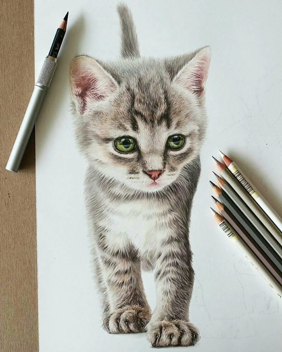 Можно рисунки животных. Рисунки цветными карандашами. Котенок цветными карандашами. Кошка цветными карандашами. Водные рисунки карандашом.
