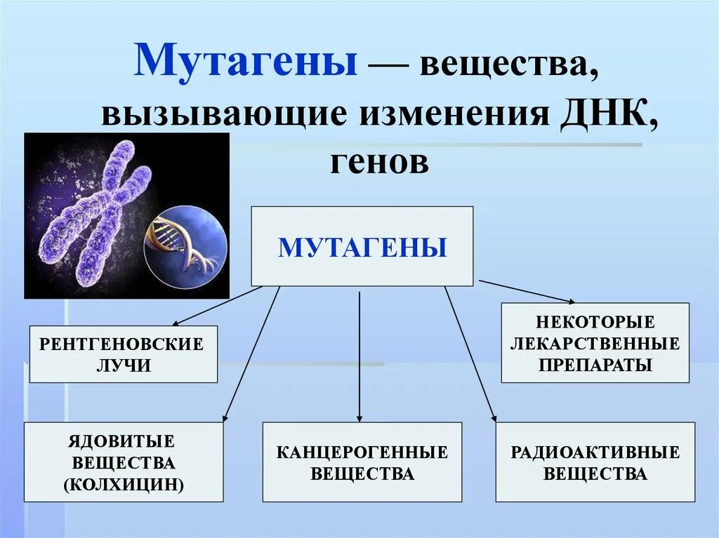 Вещества мутагены. Биологические мутагены. Мутагенные факторы генетика. Мутагены химические и биологические. Ген биология 9