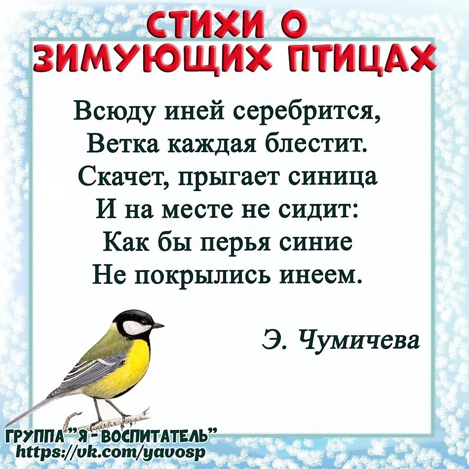 День птиц стихи для детей