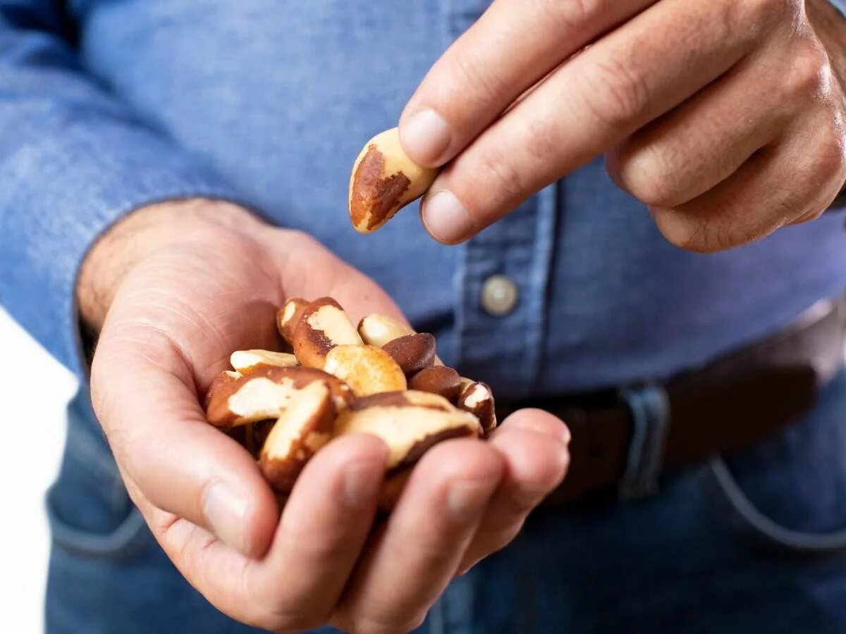Men nuts. Орехи для мужчин. immunity nuts. eating nut vector. brazilian nuts.