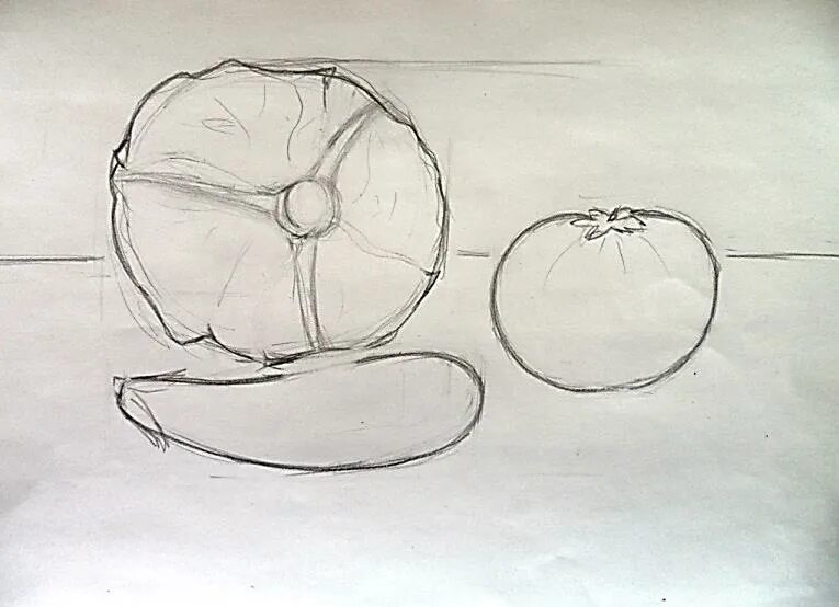 Наброски птиц в разных ракурсах. Рисование с натуры натюрморт. Натюрморт рисунок карандашом. Виды рисование с натуры. Натюрморт карандашом.