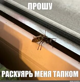 Пчела на окне