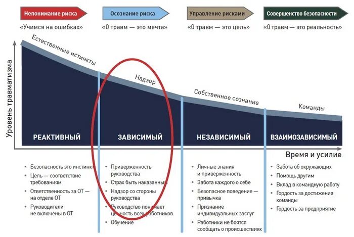 Риск культура. Кривая Брэдли культура безопасности. Колесо риск культуры Сбербанка. Культура безопасности риски. Сколько уровней зрелости культуры