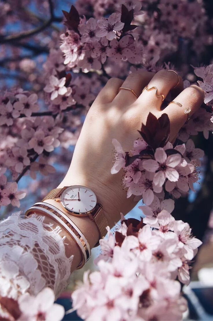 Рука весны. Весеннее дерево. Рука весны. Рука весны. Весенняя эстетика красивая.