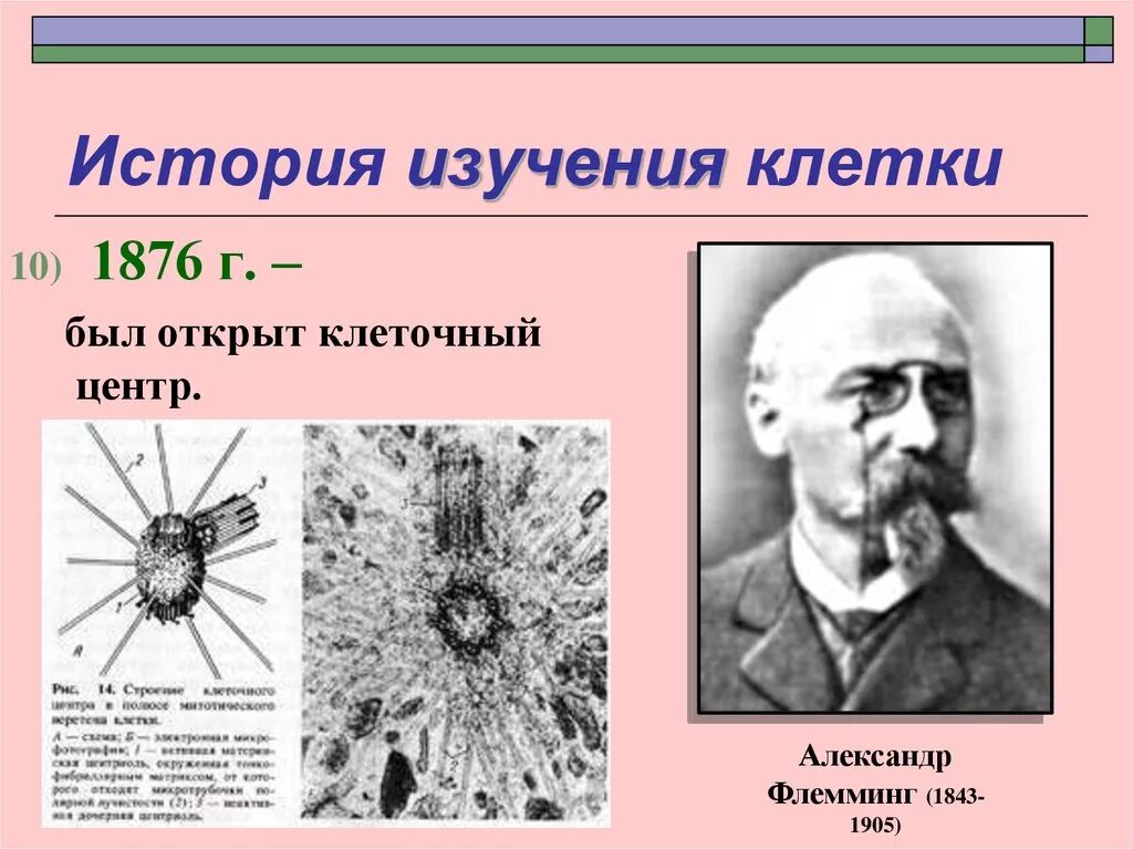 Ученый изучающий строение и функции клеток