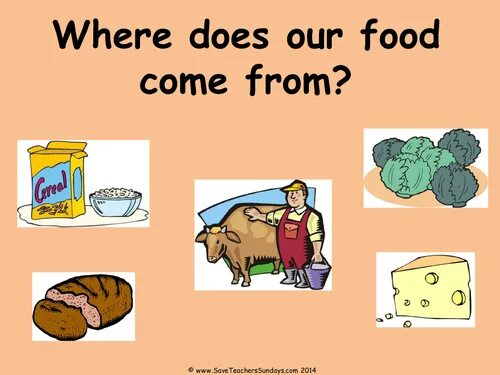 Where food comes from. Where does food come from. Where food comes from Worksheets. Where does food come from Worksheet.