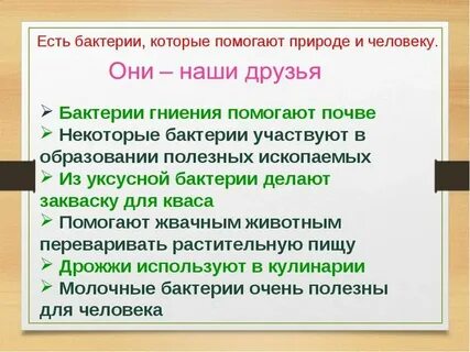 Бактерии помогают