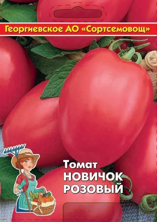 Помидоры кураж описание сорта. Томат огни челябинска. помидор новичок розовый. томат кураж. томат вернер.