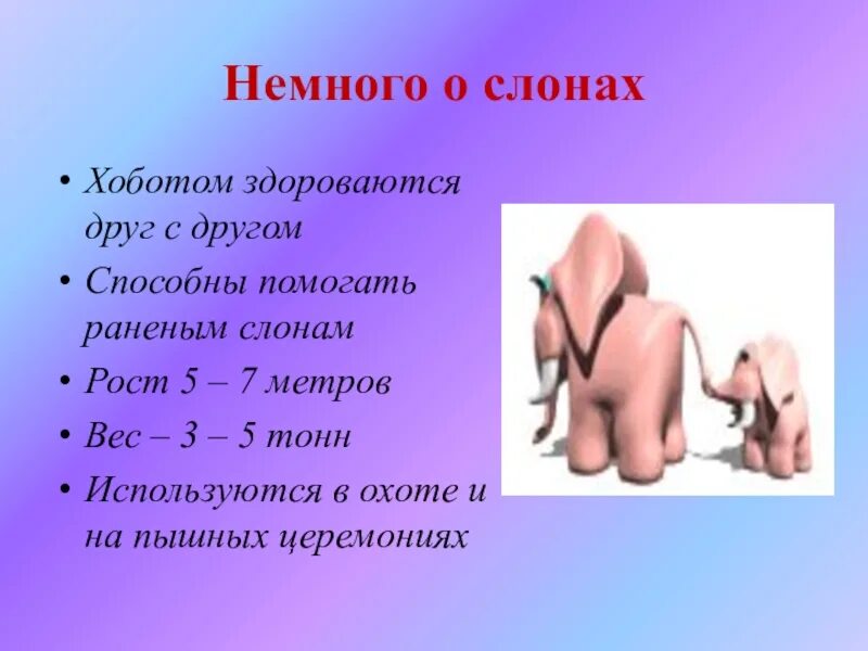 Где обитает хобот кавая собачка. Немного о слонах. слоны здороваются хоботами. слон для начальных классов. где живет слон.