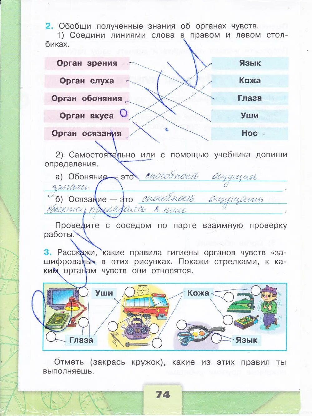 Окружающий мир страница 74 задание 3. Окружающий мир 3 класс рабочая тетрадь плешаков стр 74. окруж мир тетрадь 3 класс стр 74.