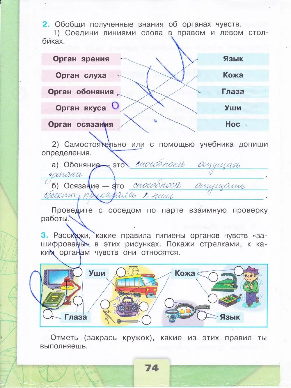 Гдз по окружающему миру 3 класс рабочая тетрадь 1 часть стр 74. Окружающий мир 3 класс рабочая тетрадь Плешаков 74 страница. Стр 74 окружающий мир 3 класс рабочая тетрадь стр 74. Окружающий мир 3 класс рабочая тетрадь 1 часть с 69 Плешаков. Проверить домашнее задание 3 класс