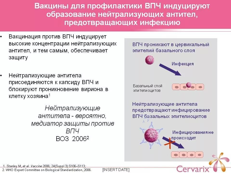 Вирус папилломы схема вакцинации. Прививка против вируса папилломы человека схема. Вакцинация против папилломавирусной инфекции. Вирус папилломы вакцина.