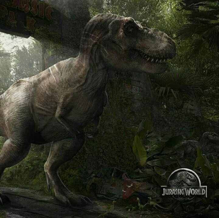 Jurassic t rex. Тираннозавр парк Юрского периода. Тираннозавр парк Юрского периода 2. Мир Юрского периода 2 рекс. Тираннозавр мир Юрского периода.