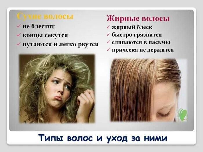 Шампиньоны сушеные. Мульча 1-3. Сушеные грибы. Обезвоженный тип кожи. Сухие они будут или.