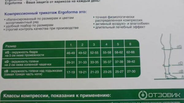 Компрессионные чулки ergoforma размер. Ergoforma чулки компрессионные 221. эргоформа чулки компрессионные 2 класс размерная сетка. эргоформа 227 компрессионные чулки таблица размеров. компрессионные чулки эргоформа размерная сетка.