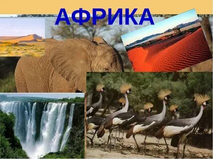 Происхождение африки