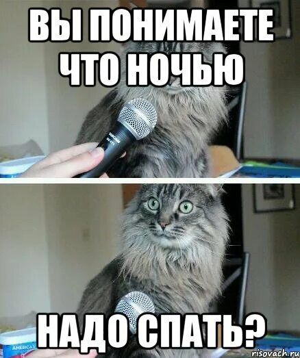 Почему нельзя работать ночью. По ночам надо спать. вы понимаете что ночью надо спать. надо спать мем. а вы знали что на работе надо работать.