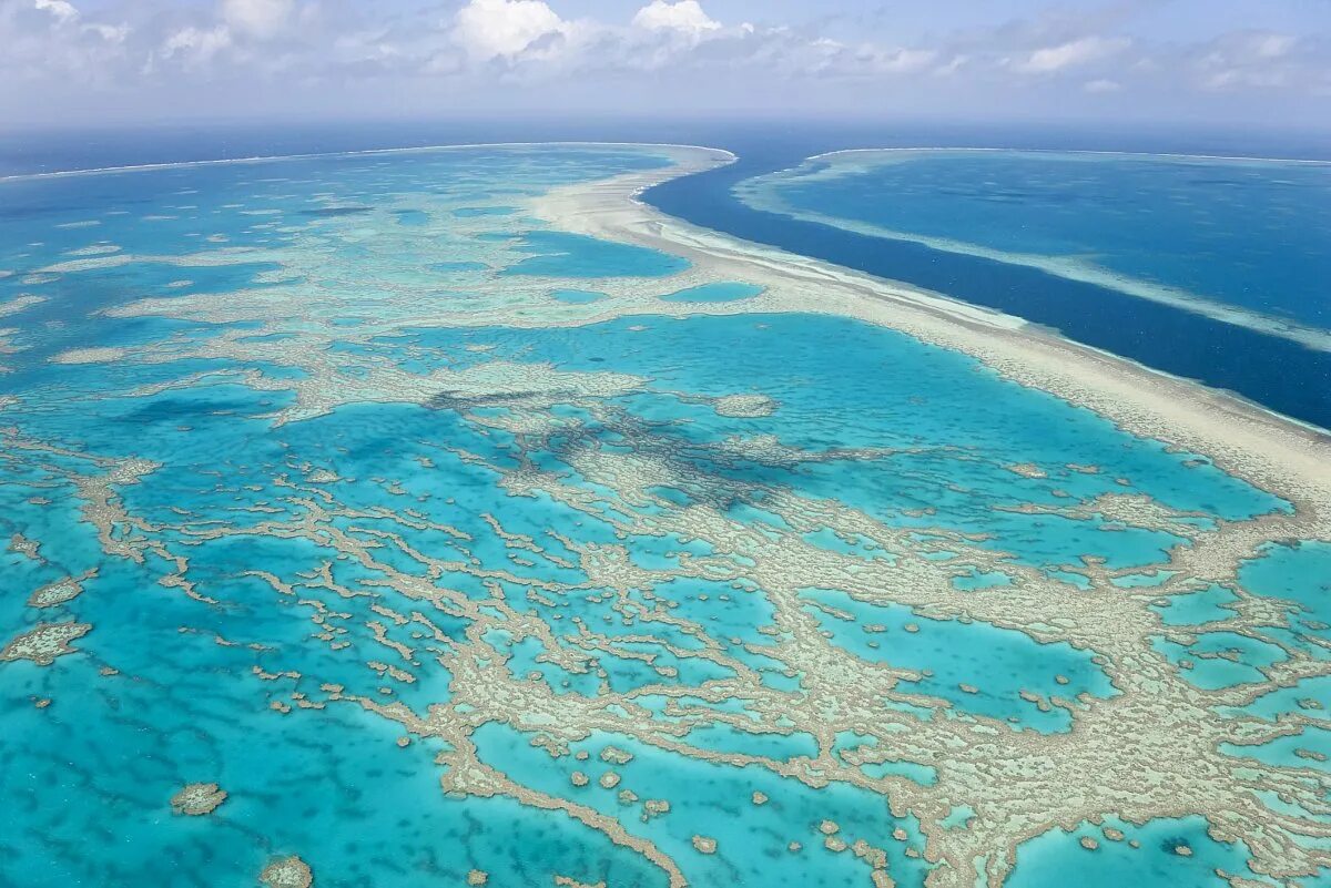 The largest ocean in the world
