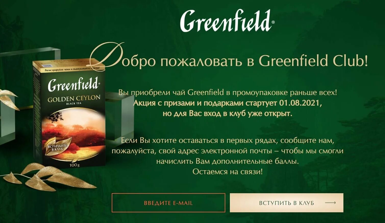 Чай с персиком Гринфилд. Новогодний чай Гринфилд 2023. Гринфилд промо. Реклама чая Гринфилд. Гринфилд это