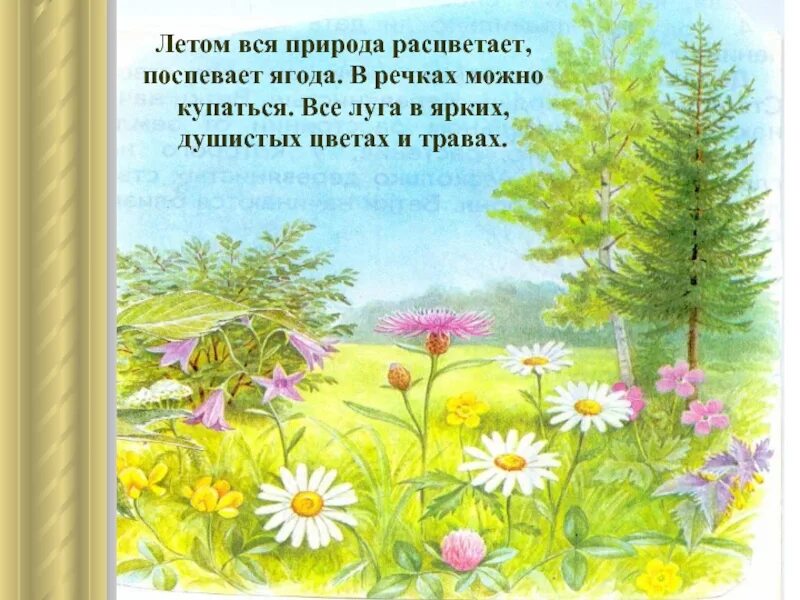 Цветы лета рассказ. Рассказ о лете. Предложения о лете. Лето описание природы. 3 Предложения о лете.