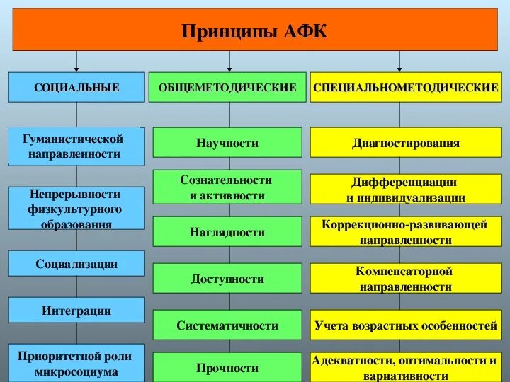 Какие принципы адаптивной физической культуры. Принципы афк. понятие адаптивной физической культуры. социально методические принципы афк. социальные принципы афк.