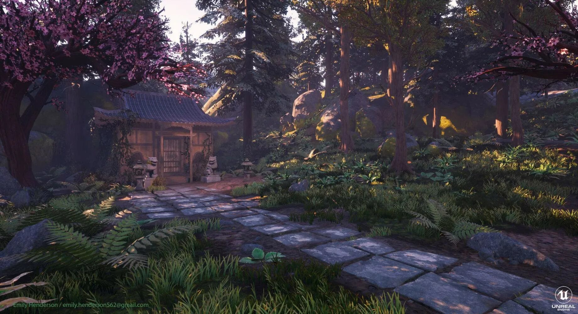 Environment location directory is not empty