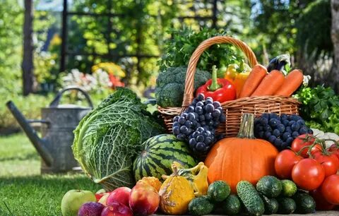 Russian vegetables