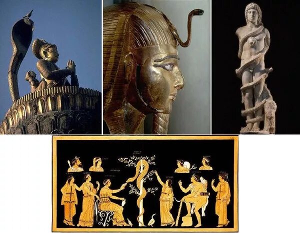 род человек доказательства. рода человеческого 6. мифологема вечной молодости в рекламе. этапы происхождения человека. род человеческий.