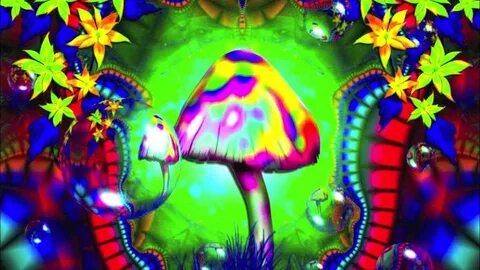 Hypno mushroom