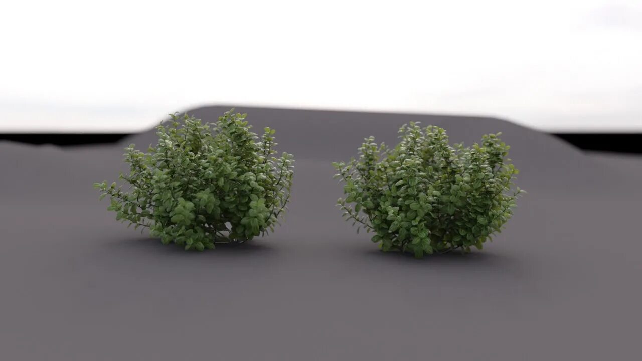 Dynamic rendering