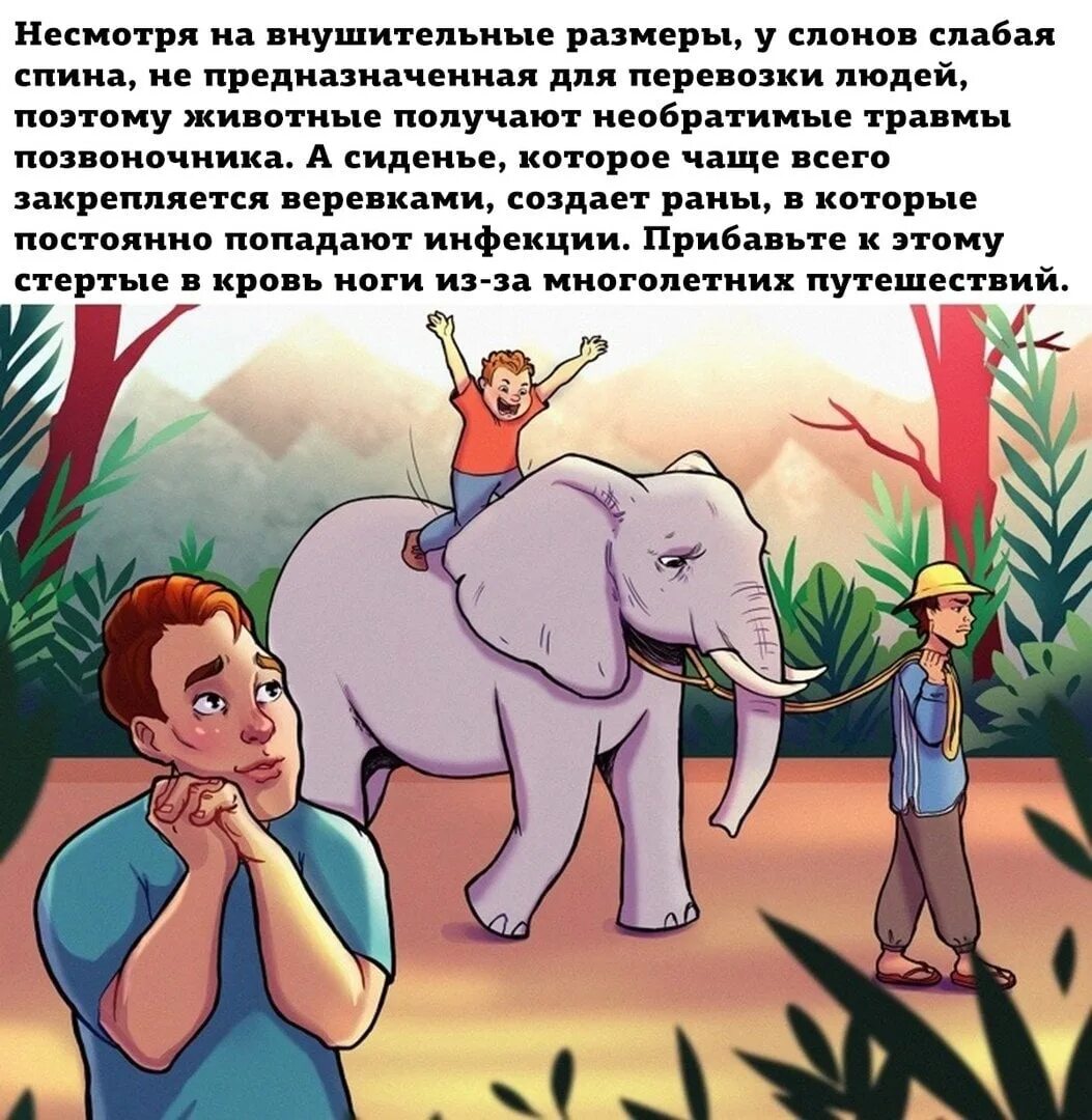 Я считал слонов и в нечет. Я считал слонов и в нечет. Слоны воспринимают людей милыми. Я считал слонов и в нечет. Я считал слонов и в нечет.