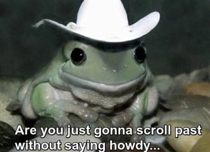 Your frog