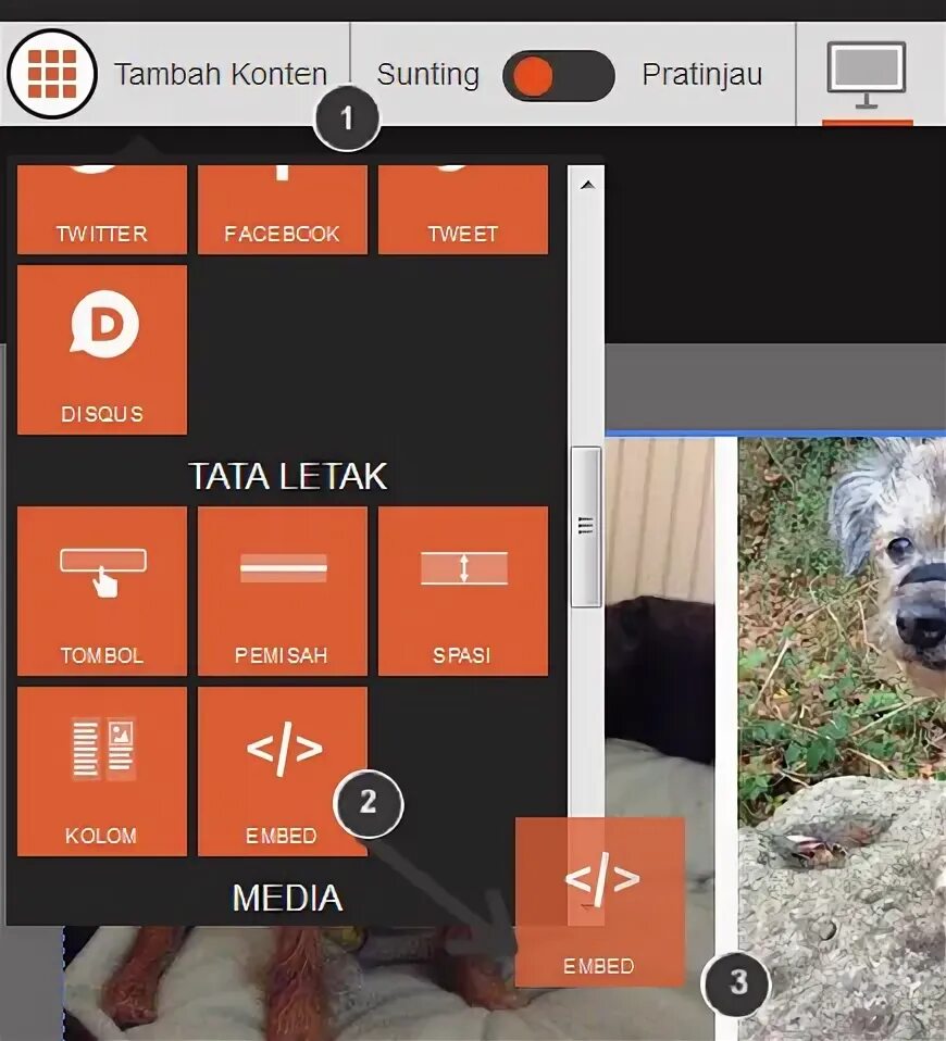 Embed widget