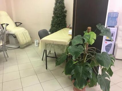 Элис россошь