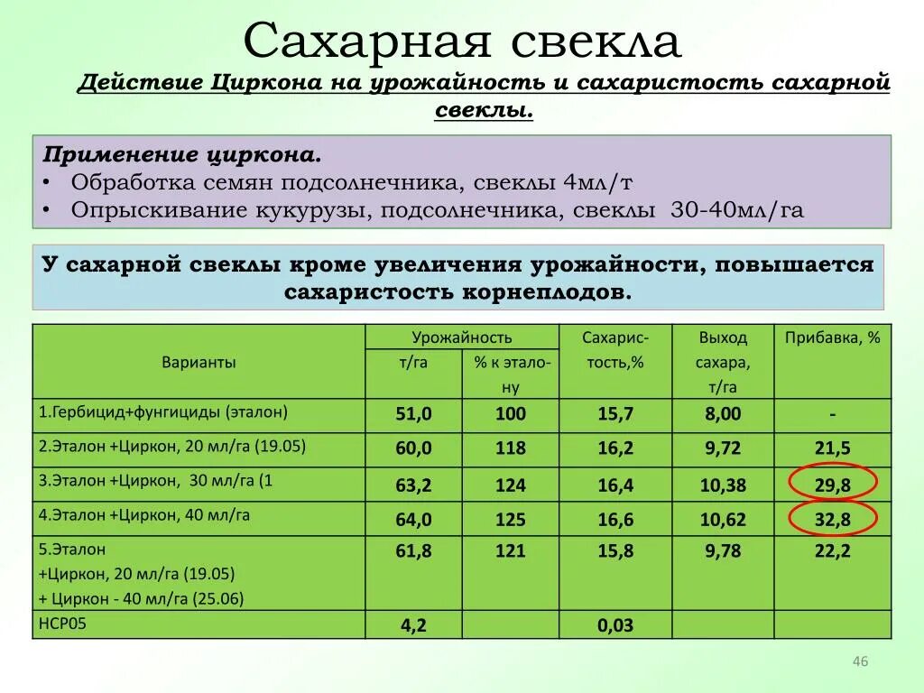 Сколько килограммов сахарной свеклы. Таблица урожайность сахарной свеклы. Сахаристость свеклы. Сахаристость сахарной свеклы. Сахаристость сахарной свеклы дигестия.