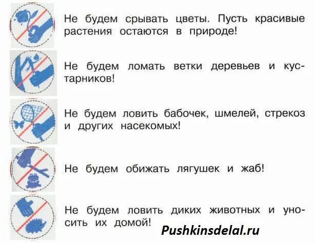 Знаки правил друзей природы. Правила к условным знакам окружающий. Природоохранные знаки. Правила друзей природы знаки. Сформулируйте правила к условным знакам