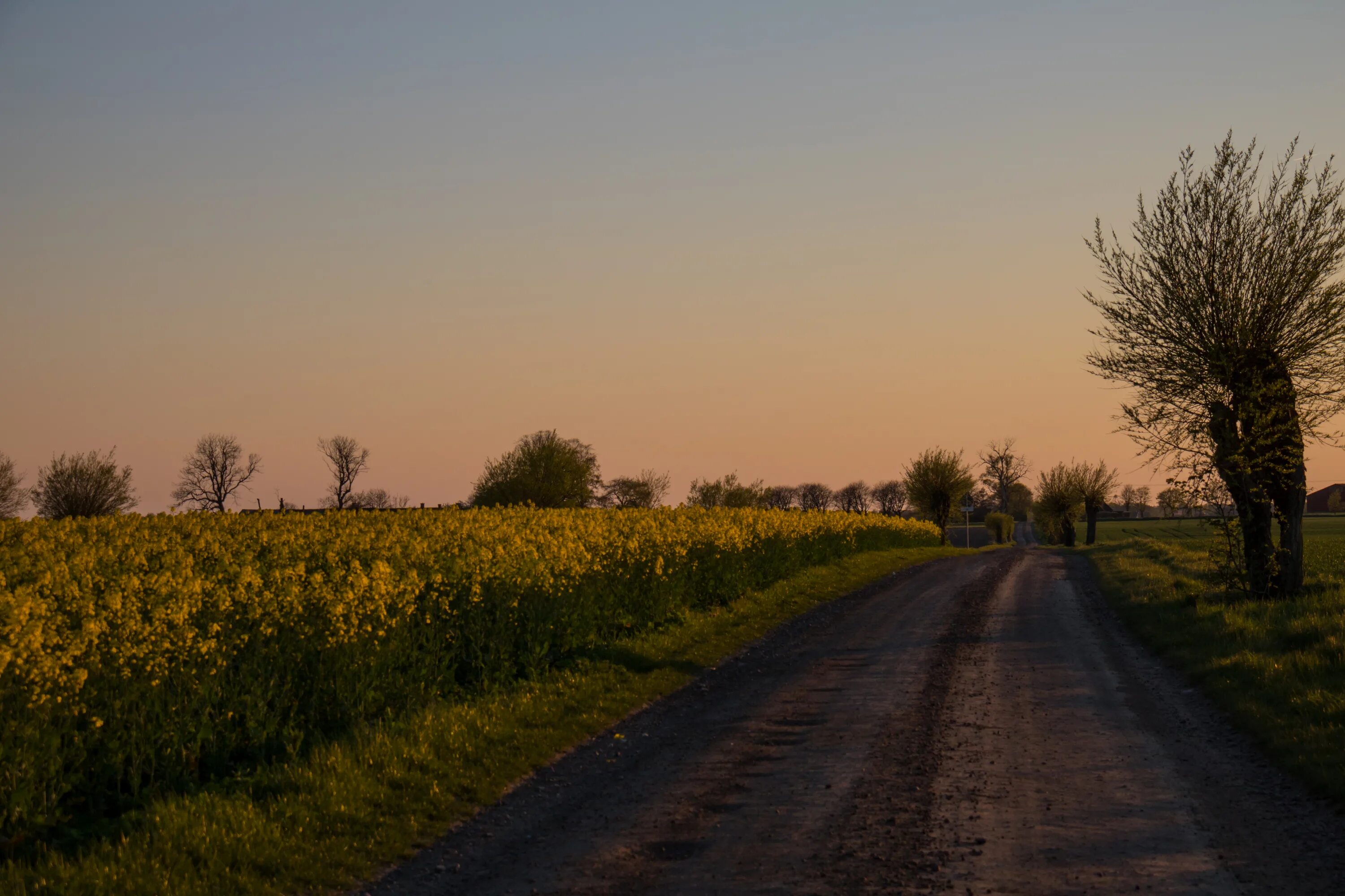 Темное поле. Поля в рязанской области с тюками. Природа поле стог сена август. Поля ч. Sawah.